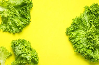 Parlak sarı arka planda taze yeşil marul yaprakları üst tarafta yatıyordu. Salata, sağlıklı vejetaryen yiyecekler, ekolojik ürünler, sebze, diyet, vitaminler. Yiyecek konsepti.