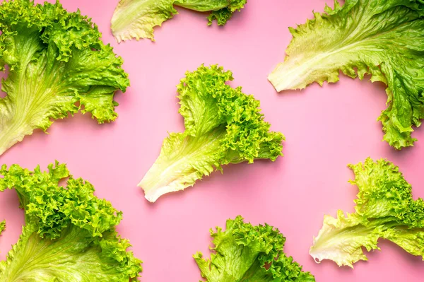 Pattern Fresh Green Lettuce Leaves Bright Pink Background Flat Lay — Stock Photo, Image