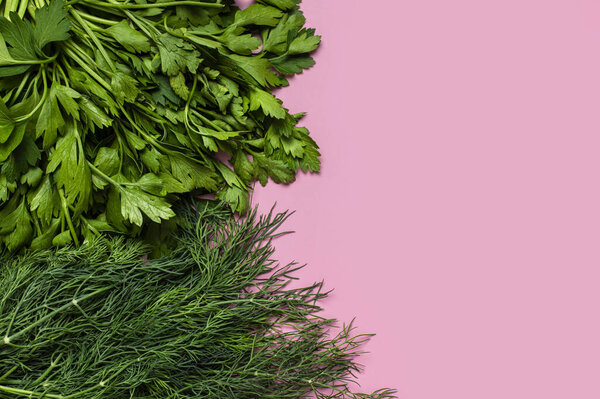 Bunches of fresh green parsley and dill on pink background flat lay top view copy space. Creative food background, salad greens, herb, vegan organic healthy food, vitamin. Cooking ingredient. Spice.