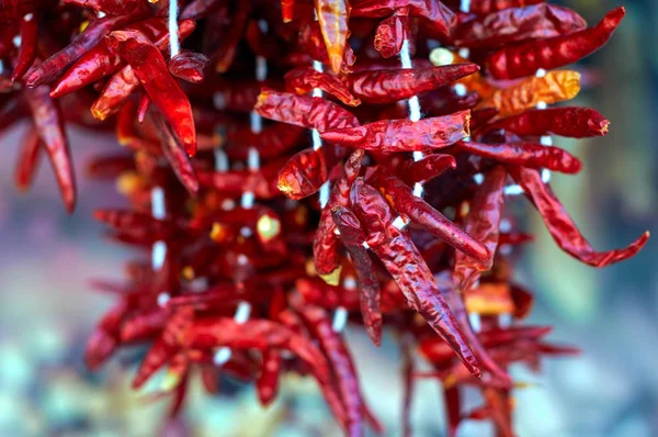 Turkey hot chili peppers dried pods a lot of vegetables background culinary seasoning fragrant base culinary decor. Close-up.  The market of the Aegean coast. Turkey, Bodrum.