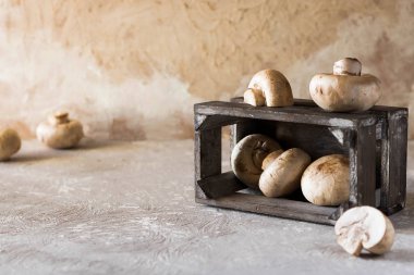 Arka plan üzerindeki rustik ahşap kutusunda eski duvardaki ham petrol