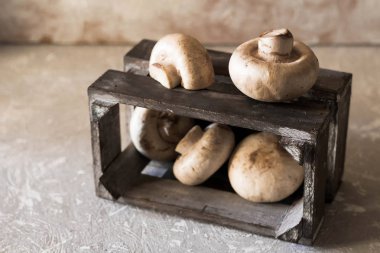 Arka plan üzerindeki rustik ahşap kutusunda eski duvardaki ham petrol