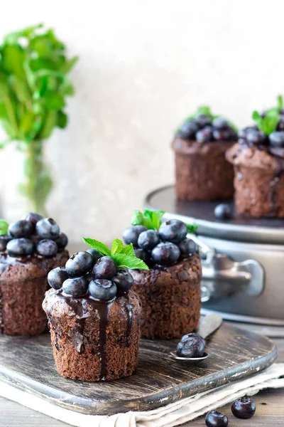 Muffins de chocolate com chocolate e mirtilos — Fotografia de Stock