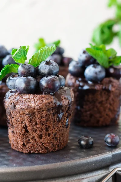 Čokoládové muffiny s čokoládou a borůvkami — Stock fotografie