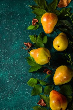 Hasat organik armut yapraklarında.