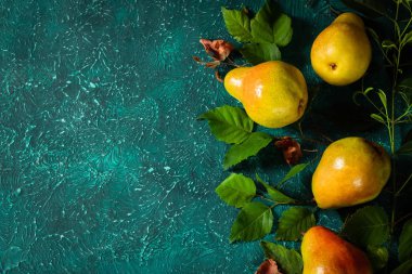 Hasat organik armut yapraklarında.