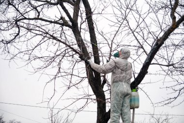 bahçıvan ağaçları pestisitler kapsar
