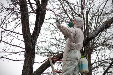 bahçıvan ağaçları pestisitler kapsar