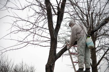 bahçıvan ağaçları pestisitler kapsar