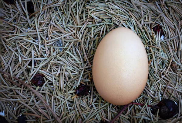 Csirke tojás kosár a Hey — Stock Fotó