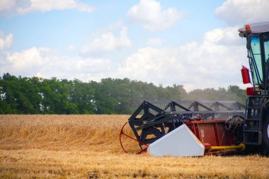 Buğday tarlasında çalışan hasatçıyı birleştirin..