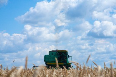 Buğday tarlasında çalışan hasatçıyı birleştirin..