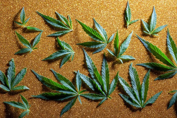 Textura de Cannabis Fundo da folha de maconha — Fotografia de Stock