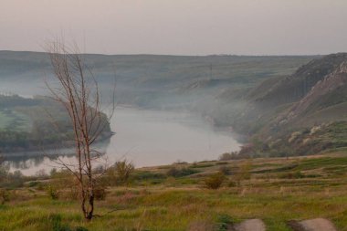 sabah sazlık sis ve nehir üzerinde yüzey