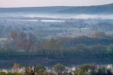 sabah sazlık sis ve nehir üzerinde yüzey