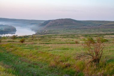 sabah sazlık sis ve nehir üzerinde yüzey