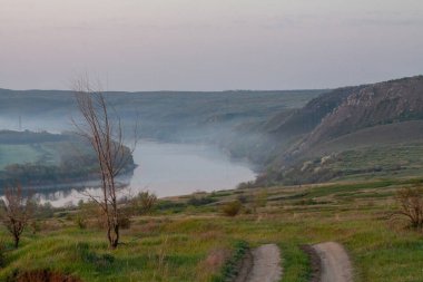 sabah sazlık sis ve nehir üzerinde yüzey