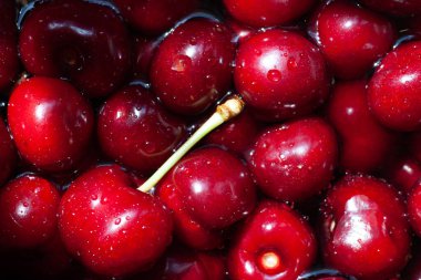 Akşam yemeği peçetesi ve yaz havlusu için harika, olgun, kırmızı, tatlı, yakın plan.