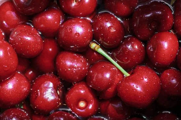 Great ripe red sweet cherry closeup background for a dining napkin and summer towel full frame