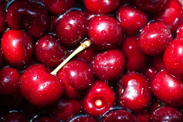 Great Ripe Red Sweet Cherry Closeup Background Dining Napkin Summer — Stock Photo, Image