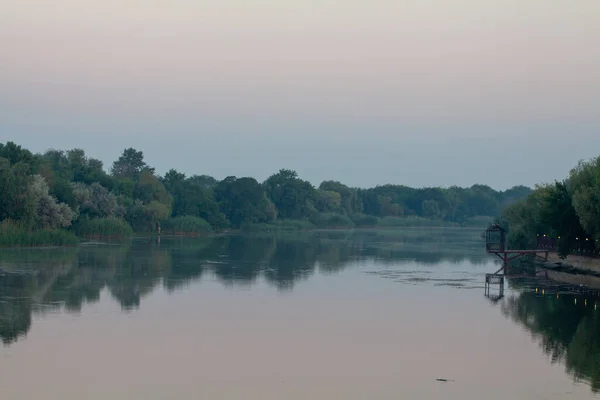 Πρωί Στο Ποτάμι Πρωί Καλάμια Ομίχλη Ομίχλη Ομίχλη Και Επιφάνεια — Φωτογραφία Αρχείου