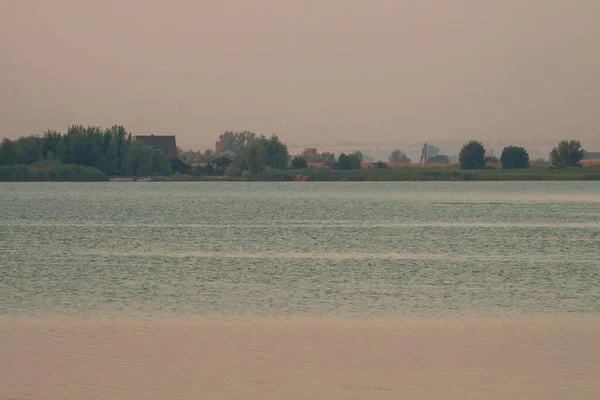 Mañana Río Temprano Por Mañana Cañas Niebla Niebla Superficie Del — Foto de Stock