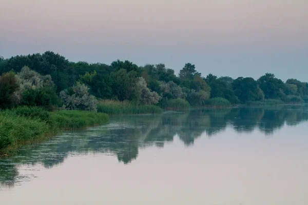 Rano Rzece Wczesnym Rankiem Trzcina Mgła Powierzchnia Wody Rzece — Zdjęcie stockowe
