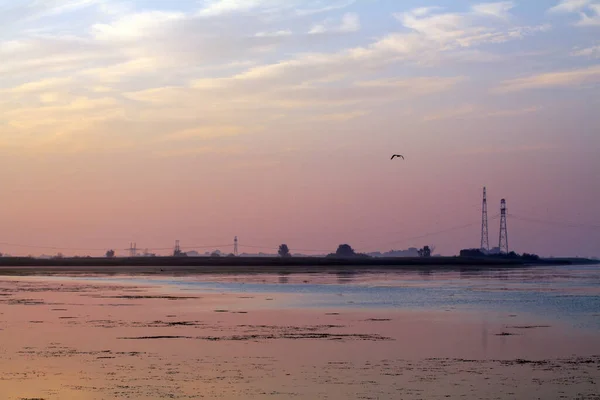 Morgen Auf Dem Fluss Frühen Morgen Schilf Nebel Und Wasseroberfläche — Stockfoto