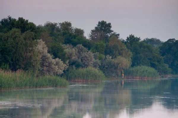 Ранок Річці Ранковий Туман Очерету Поверхня Води Річці — стокове фото
