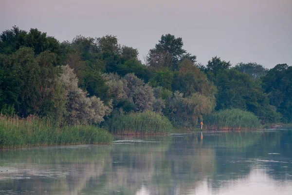 Ochtend Rivier Vroeg Ochtend Rieten Mist Water Oppervlak Rivier — Stockfoto