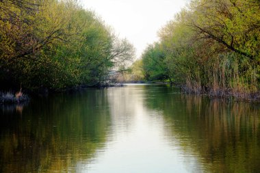 Güneşle aydınlanan karanlık bulutlarla şafak vakti..