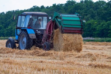 Kuyruklu balya yapma makinesi olan bir traktör tarlada saman ruloları toplar ve büyük balyalar yapar.