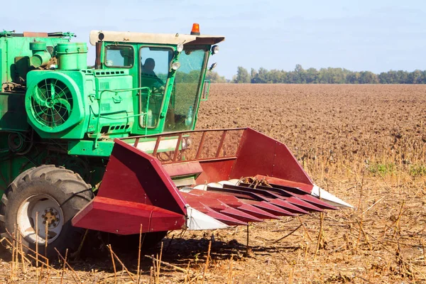 Coltivazione Nel Grande Campo Girasole Secco Una Giornata Sole Vendemmia — Foto Stock