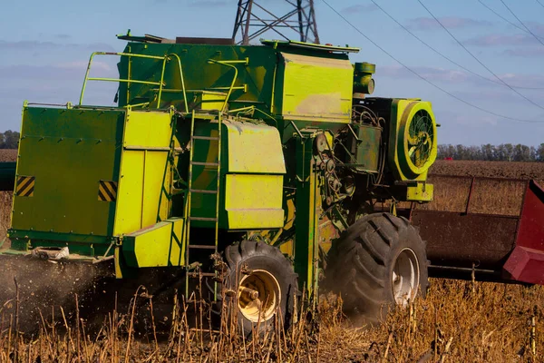 Coltivazione Nel Grande Campo Girasole Secco Una Giornata Sole Vendemmia — Foto Stock