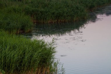 Sabah erkenden nehirde