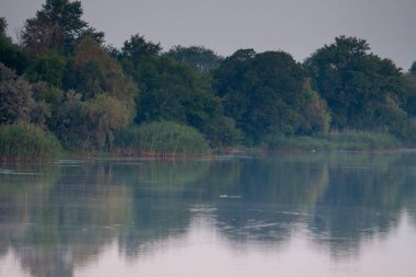 Sabah erkenden nehirde