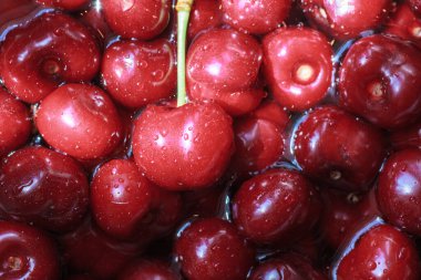 Tatlı vişne arka planı