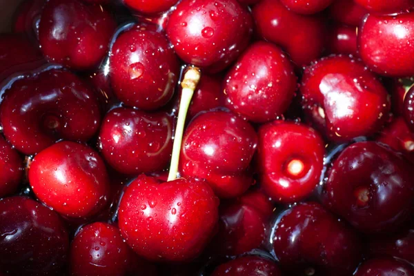 Tatlı vişne arka planı