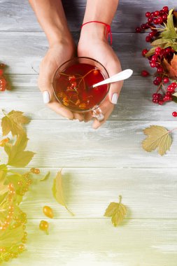 Bir kartopu ile vitamin çayı üzerinde gri bir ahşap arka plan, metin için yer tutan kız. Üstten görünüm