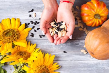 Farklı organik tohum eller kopya alanı gri bir ahşap zemin üzerine dayanıyor. Üstten görünüm