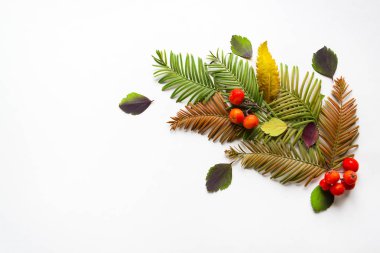 Kompozisyon farklı yaprakları ve kopya alanı ile gri bir arka plan üzerinde kırmızı meyveler. Doğal desen olarak kartpostal için bir düzen. Düz yatıyordu