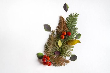 Kompozisyon farklı yaprakları ve kopya alanı ile gri bir arka plan üzerinde kırmızı meyveler. Doğal desen olarak kartpostal için bir düzen. Düz yatıyordu