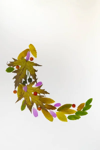 Creative corner frame of autumn rowan, yellow and green autumn leaves on a gray background with copy space. Autumn layout for your ideas. Flat lay — Stock Photo, Image