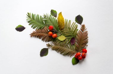 Doğal bileşimi bırakır ve kopya alanı ile gri bir arka plan üzerinde meyveleri. Kartpostal için yaratıcı düzen