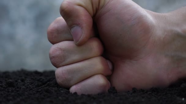Kampf gegen die Gartenarbeit. Zerstörung des Ökosystems. — Stockvideo