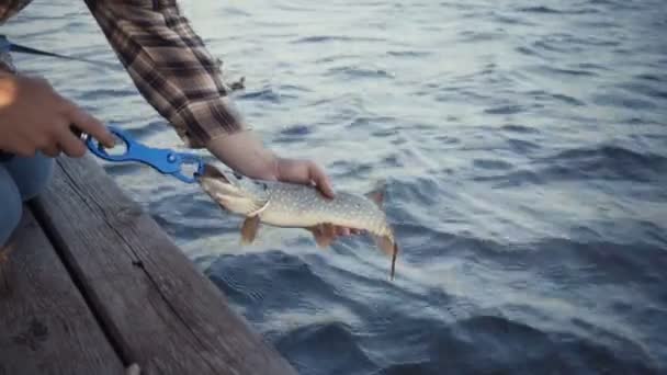 Joven pescador pescando activamente en el lago — Vídeo de stock