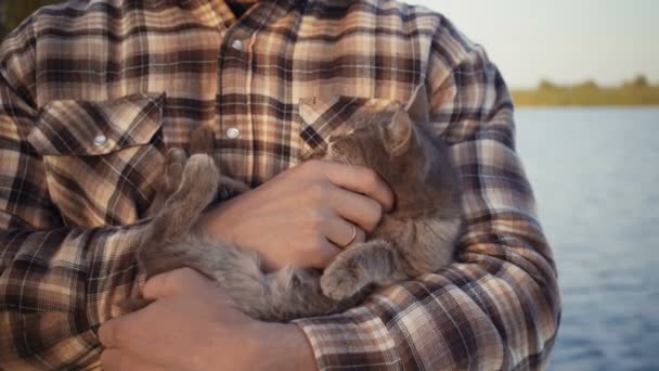 Jonge kerel een kat aaien op de natuur in de buurt van het meer. — Stockvideo