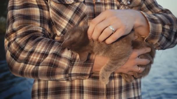 Joven acariciando un gato en la naturaleza cerca del lago . — Vídeos de Stock