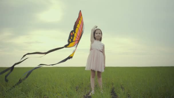 Girl running around with a kite on the field. Freedom concept. — Stock Video