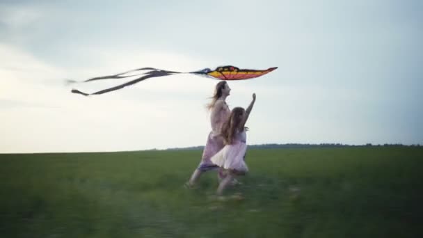 Mädchen, das mit einem Drachen auf dem Feld herumläuft. Freiheitskonzept. — Stockvideo